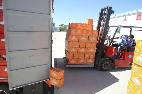 落实惠企政策 壮大经营主体 哈密市农产品加工业提升行动全面铺开