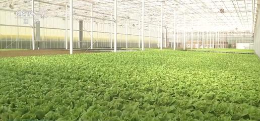新装备、新科技驱动农产品提质增效，助力现代农业驶入快车道